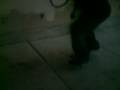 videos de 3 trix