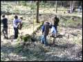 Plant-for-the-Planet in Forchheim