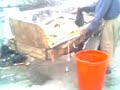 Garbage Collection in Oil Rich Basrah-Iraq