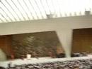 Pope Benedict XVI Wednesday address