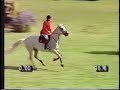 ...yes, you read it correctly: this is ~NOT~ Milton here folks, this is very rare footage of John Whitaker riding Milton's rival-- Gem Twist himself! Ironic that one man would be so blessed, as to experience the TWO greatest horses ever known to showjumping. I can't WAIT to see what manner of talent Gem's clone will display! Footage is from the 1990 inaugural World Equestrian Games, where Gem was given the (official!) title of 