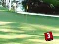 Best Damn Top 5 Spectacular Plays