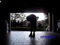 C-walk C-walk