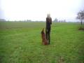 videos de Hundesport - freudiger Training - Teil1