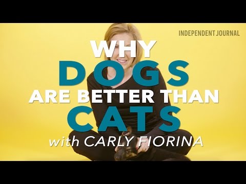 WATCH: Carly Fiorina is Like a Dog on a Bone