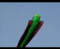 Eelkite 7,5 Eelkite 7,5