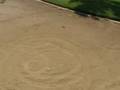cyclone twist aftermath