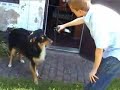 Video Vorschau
