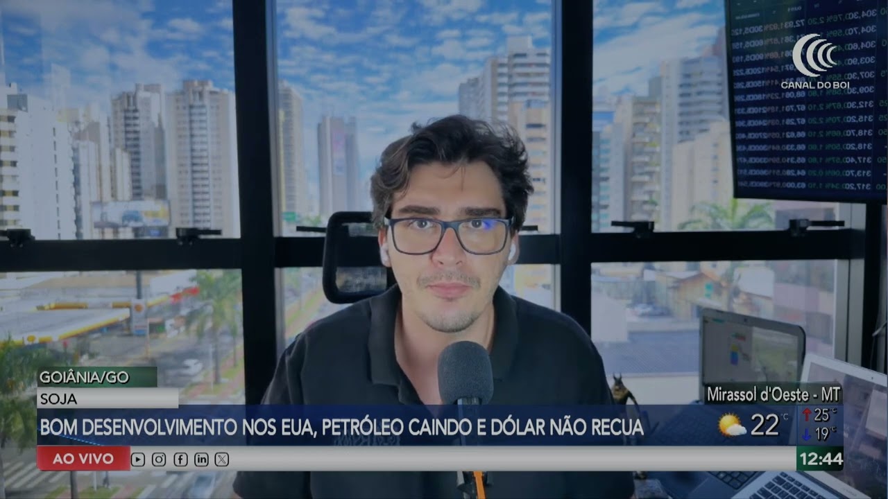 Soja avança nos EUA com lavouras em boas condições, enquanto mercado acompanha petróleo e juros