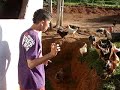 MOV00709