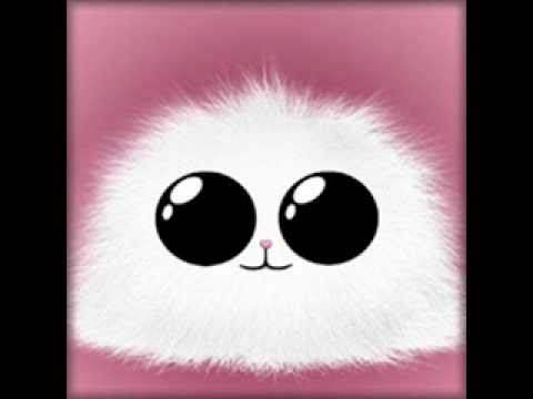 Pufosenia(Fluffy-thingy) Ti pup mwaah