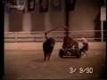 kone.flv