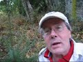 Creating Old-Growth Forest at Earth Sanctuary