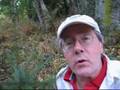 Creating Old-Growth Forest at Earth Sanctuary