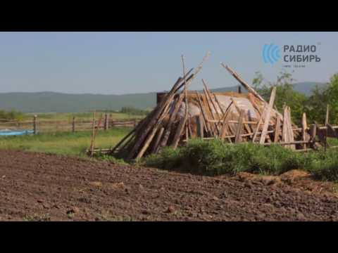 YouTube Трейлер