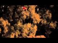 Andreu Lacondeguy - We are Family- Double Back Video