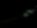 videos de los weritos?? :DDD