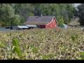 Country Life Barns and Poetry Reading
