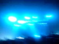 Tiesto @ SECC Glasgow July 09