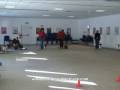 Obedience Squadra Centro Studi del Cane Italia