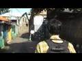 Hidup Penuh Pilihan International Trailer - DivX Source