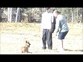 K-9 Uno Criminal App. 18 Weeks K-9 Uno Criminal App. 18 Weeks