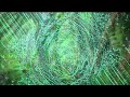 Tjutjuna - Desert Song (Official Video) Tjutjuna - Desert Song (Official Video)