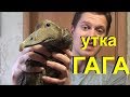 https://www.youtube.com/watch?v=zm003PZFjl4