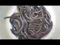 Slither