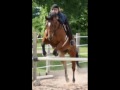 Contest [[Results POSTED!]]SLOW MO EQ