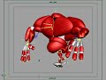 Muscle Deform