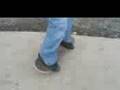 videos de tribute2 pip