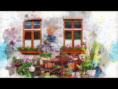 動画