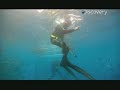 Shark Week- Uncaged! Shark Week- Uncaged!