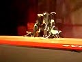 best-of-korean-bboys.html