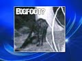 Hunter Spots Bigfoot In Pennsylvania Woods
