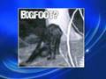 Hunter-Spots-Bigfoot