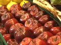  food bank sonoma forestville AIDS gourds calabash