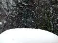 Slow Motion Snowfall