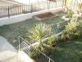 videos de Chayse Backyard Sprint 1