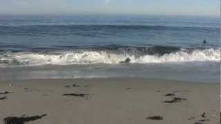 Like an Ocean
