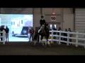 Werbellin Equine Affaire 2008