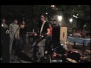(These) Magnificent Tapeworms - FAREWELL TURTLE pt IV