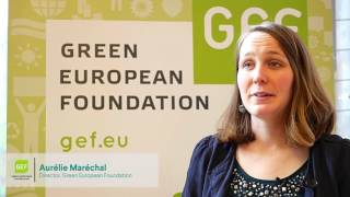 Activists In Action! - Coverage Of The Green European Foundation training