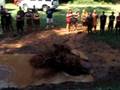 videos de Mud pit @summer camp 4
