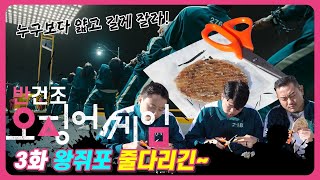 (주)자갈치브라더스 오징어게임 패러디