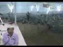 Tafsir Mahphil 06 Disk 1 Allama Delwar Hossain Sayeedi 12/15