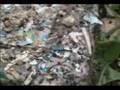 videos de Worms - From the Tote to the Bin