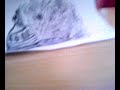 Dawinka's abstraction xD