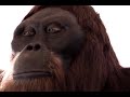 Click here to watch this video Robotic Animated gigantopithecus Ape